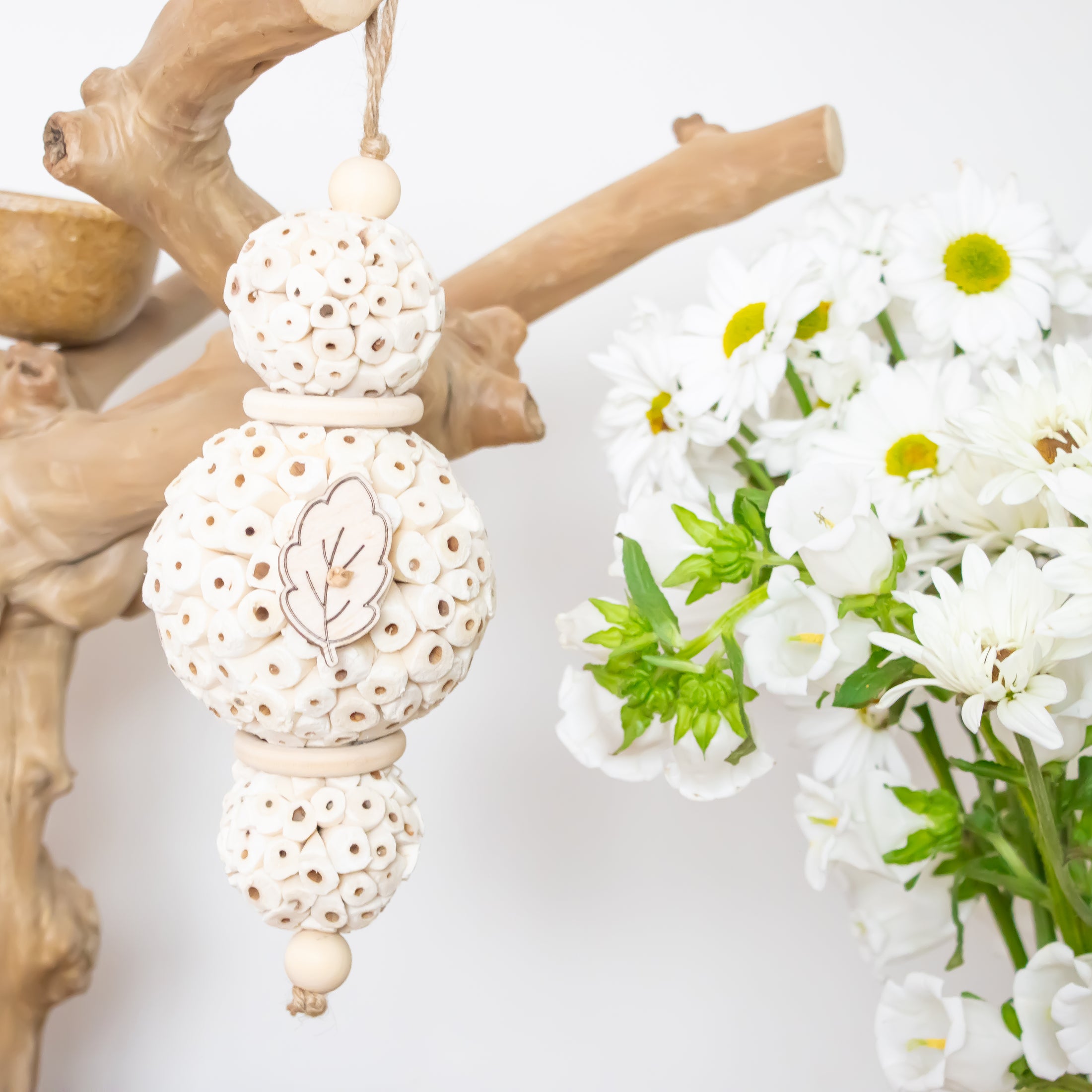 Dreamy Sola - Natural Collection