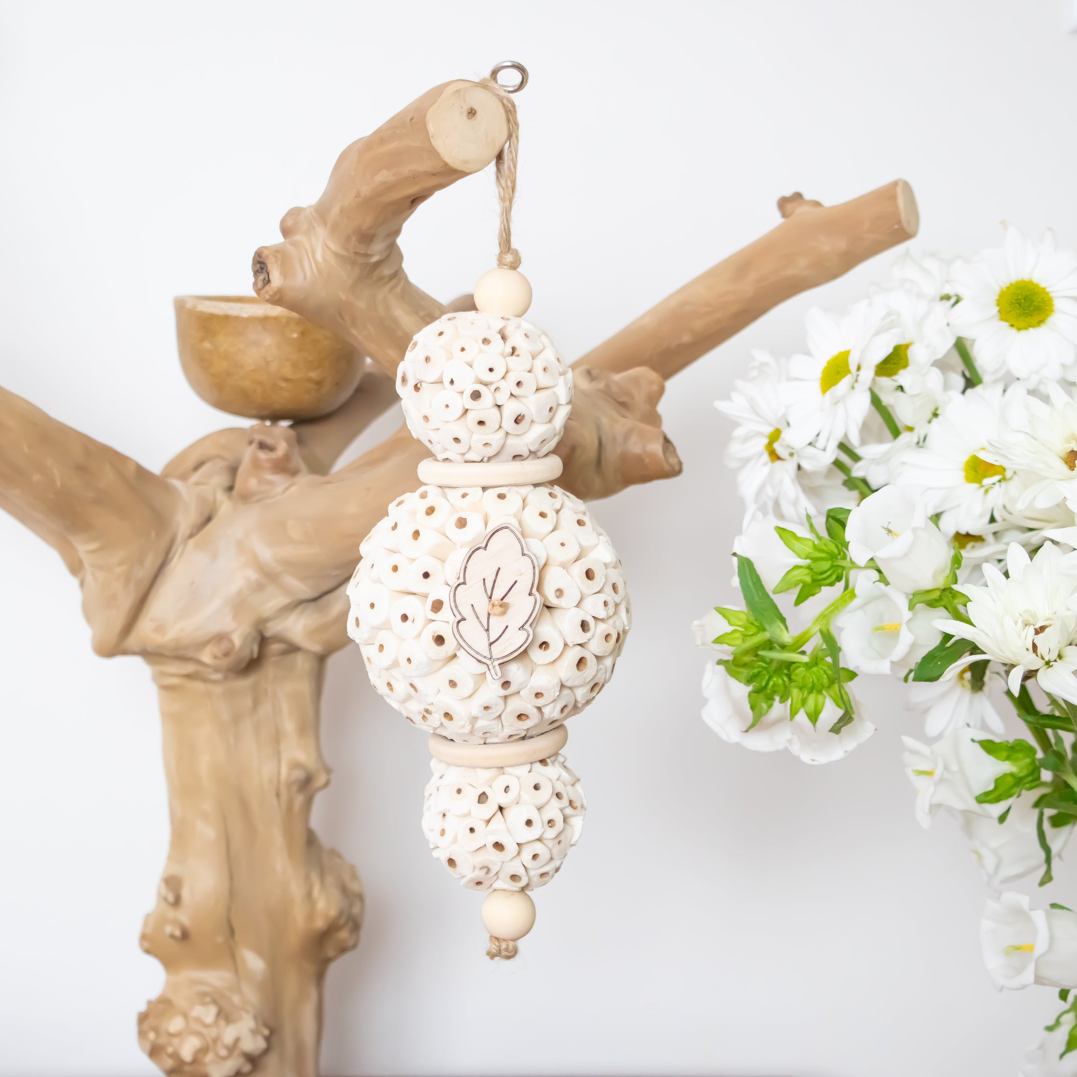 Dreamy Sola - Natural Collection
