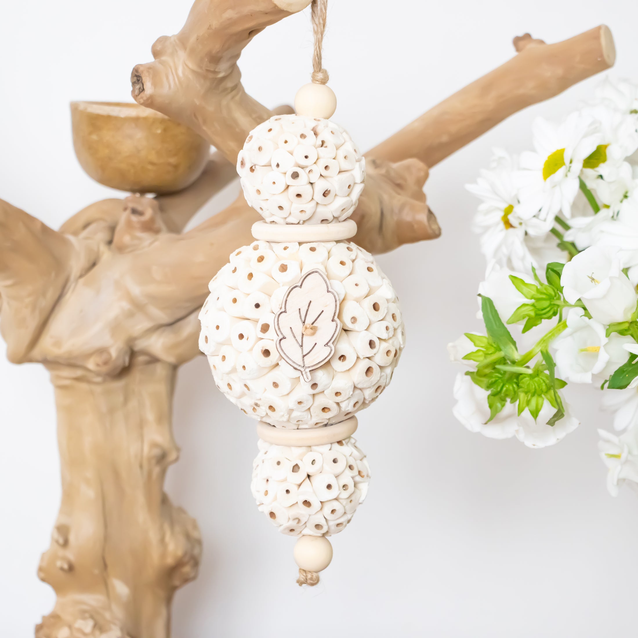 Dreamy Sola - Natural Collection
