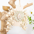Load image into Gallery viewer, Nature’s Embrace - Natural Collection
