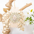 Load image into Gallery viewer, Nature’s Embrace - Natural Collection
