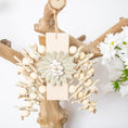 Load image into Gallery viewer, Nature’s Embrace - Natural Collection
