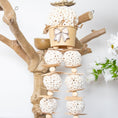 Load image into Gallery viewer, Sola Lush - Natural Collection
