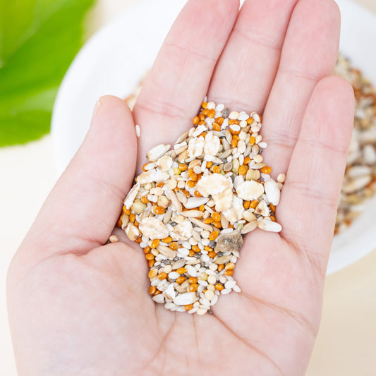 Premium Organic Seed Mix - Bird Food