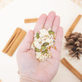 Load image into Gallery viewer, Harvest Blend Organic Seed Mix - Autumn Collection
