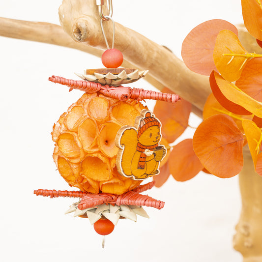 Nuts About Autumn - Autumn Collection