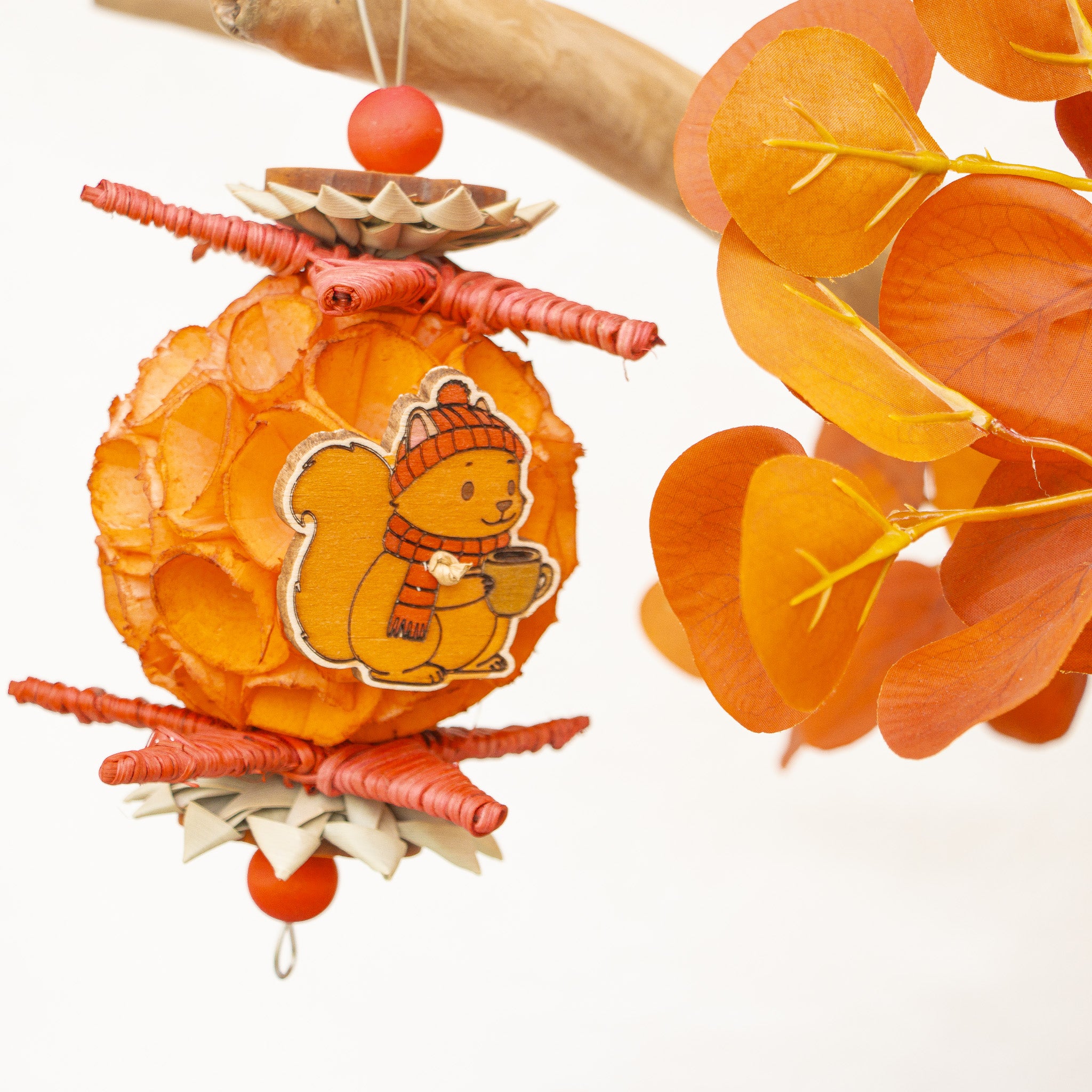 Nuts About Autumn - Autumn Collection
