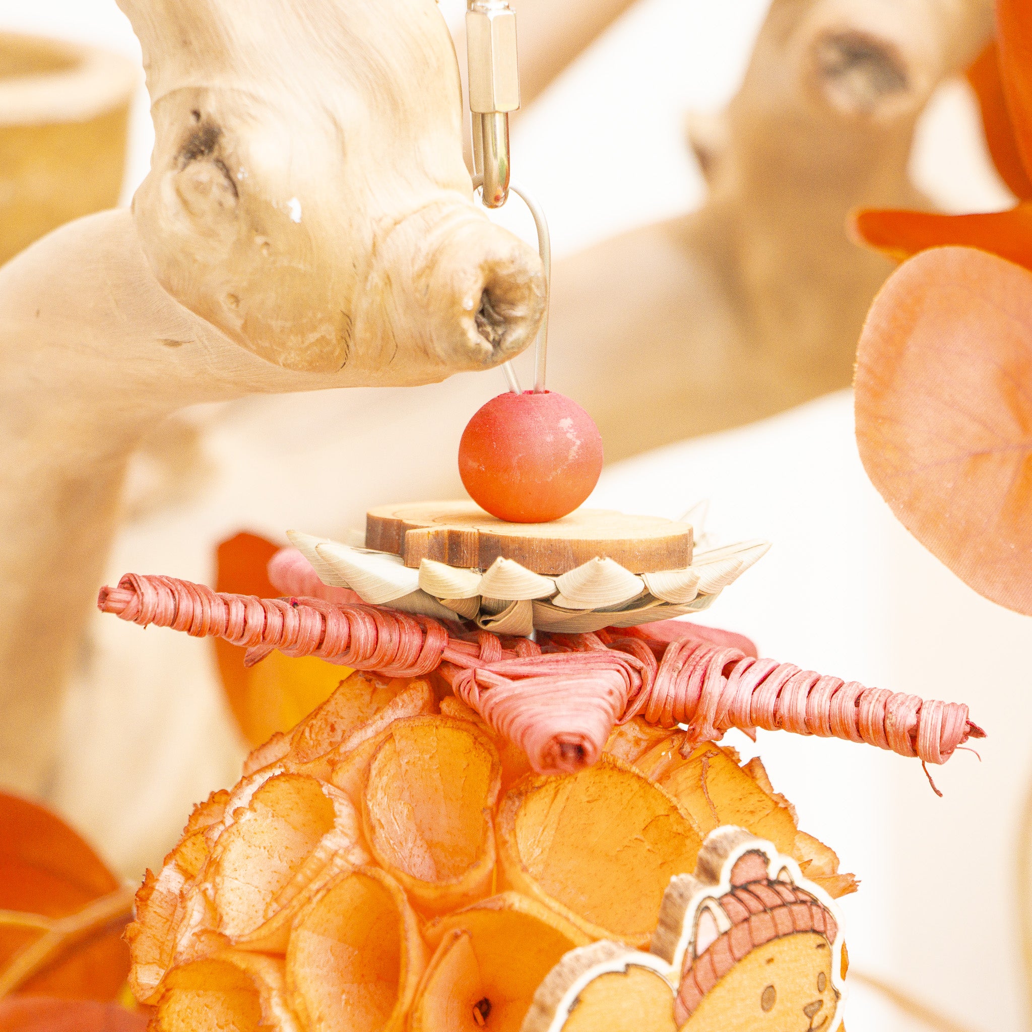 Nuts About Autumn - Autumn Collection