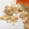 Load image into Gallery viewer, Acorn Whisper - Autumn Collection
