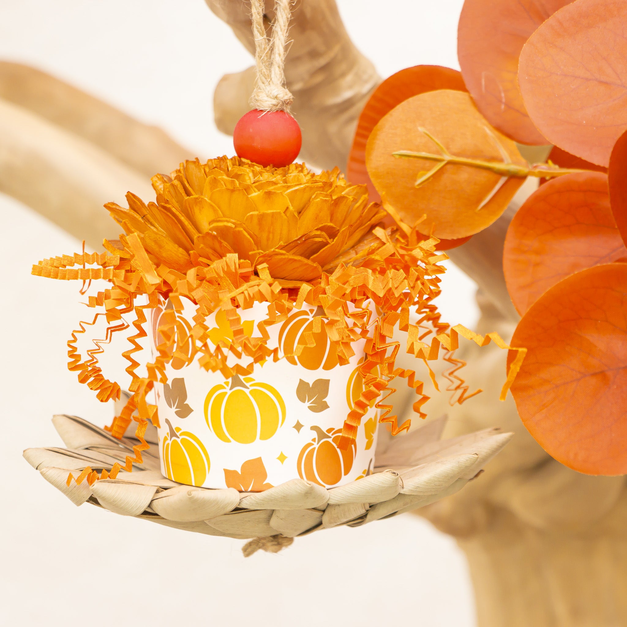 Pumpkin Season - Autumn Collection