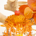 Load image into Gallery viewer, Pumpkin Season - Autumn Collection
