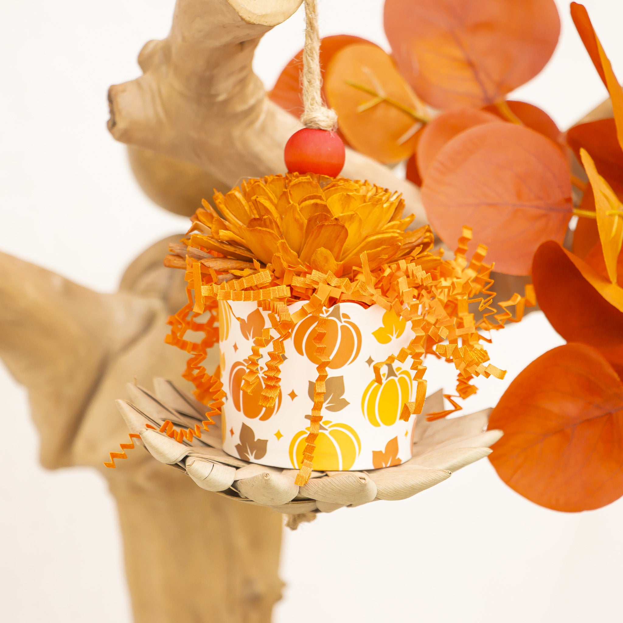 Pumpkin Season - Autumn Collection
