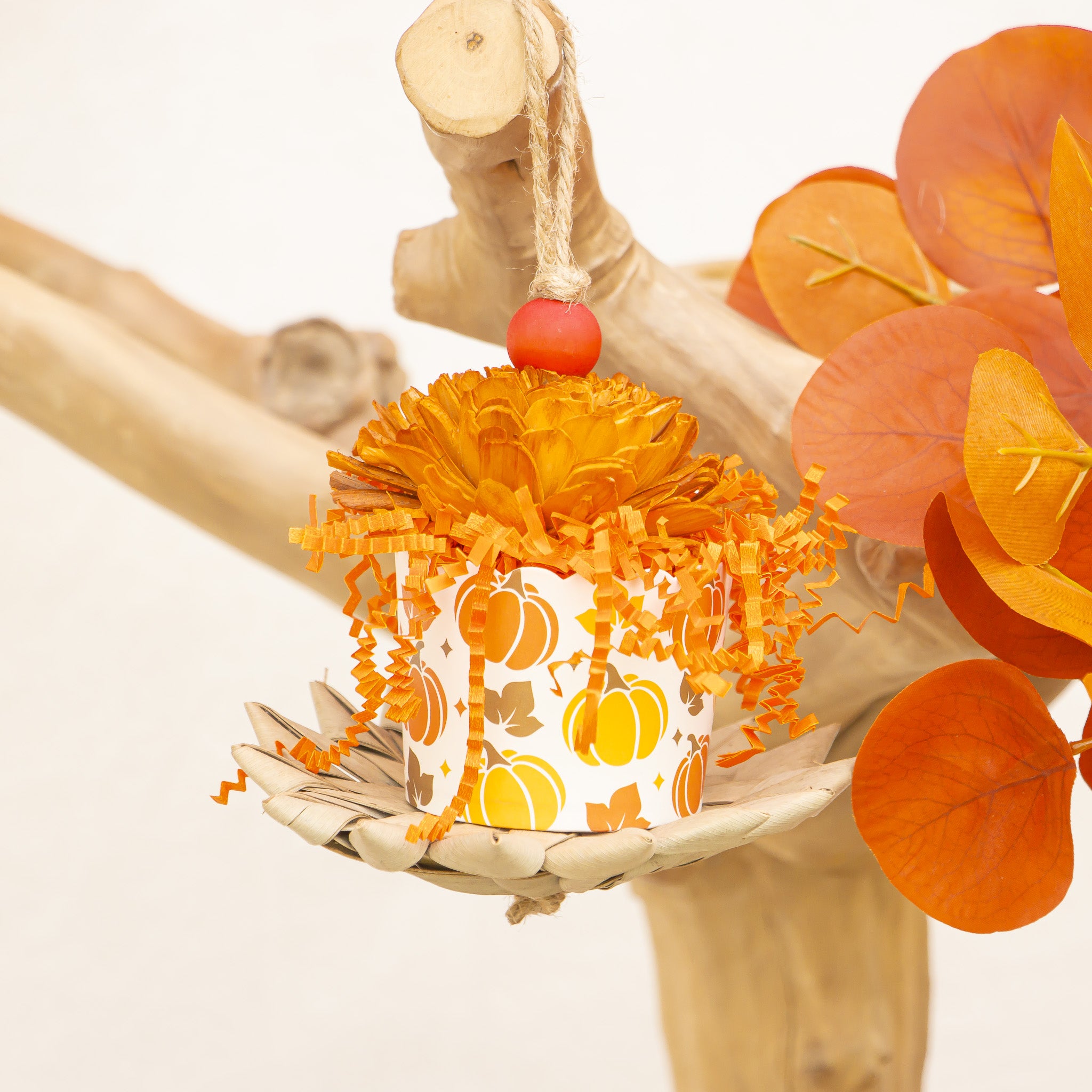 Pumpkin Season - Autumn Collection