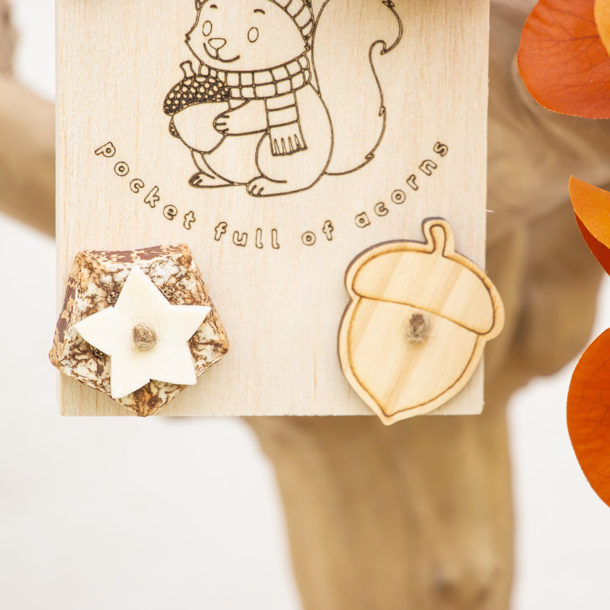 Autumn leaves - Autumn Collection