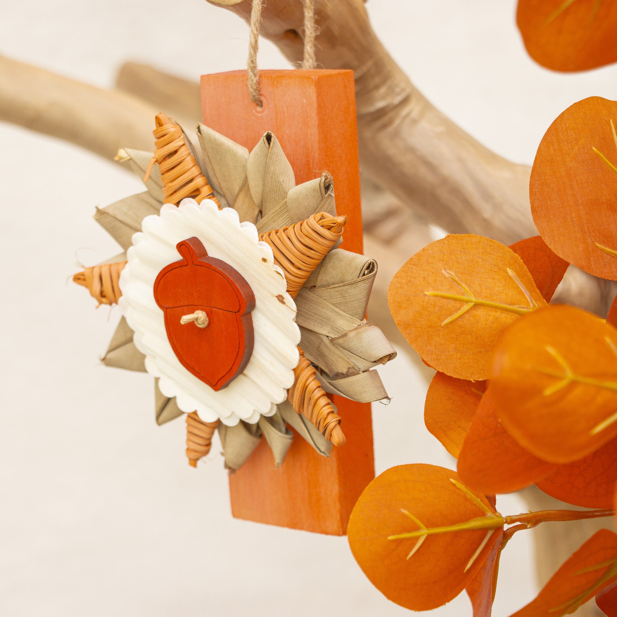Autumn Days Ahead - Autumn Collection