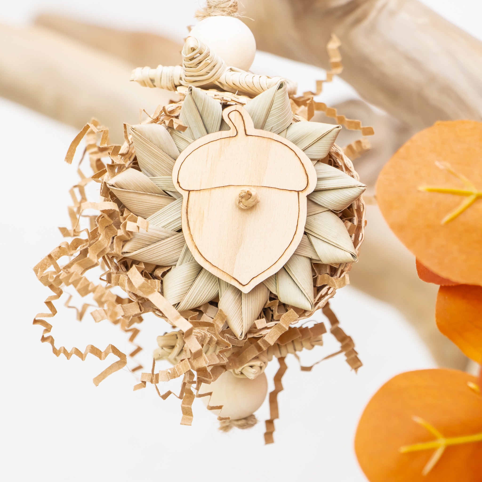 Embracing the Season - Autumn Collection