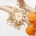 Load image into Gallery viewer, Embracing the Season - Autumn Collection
