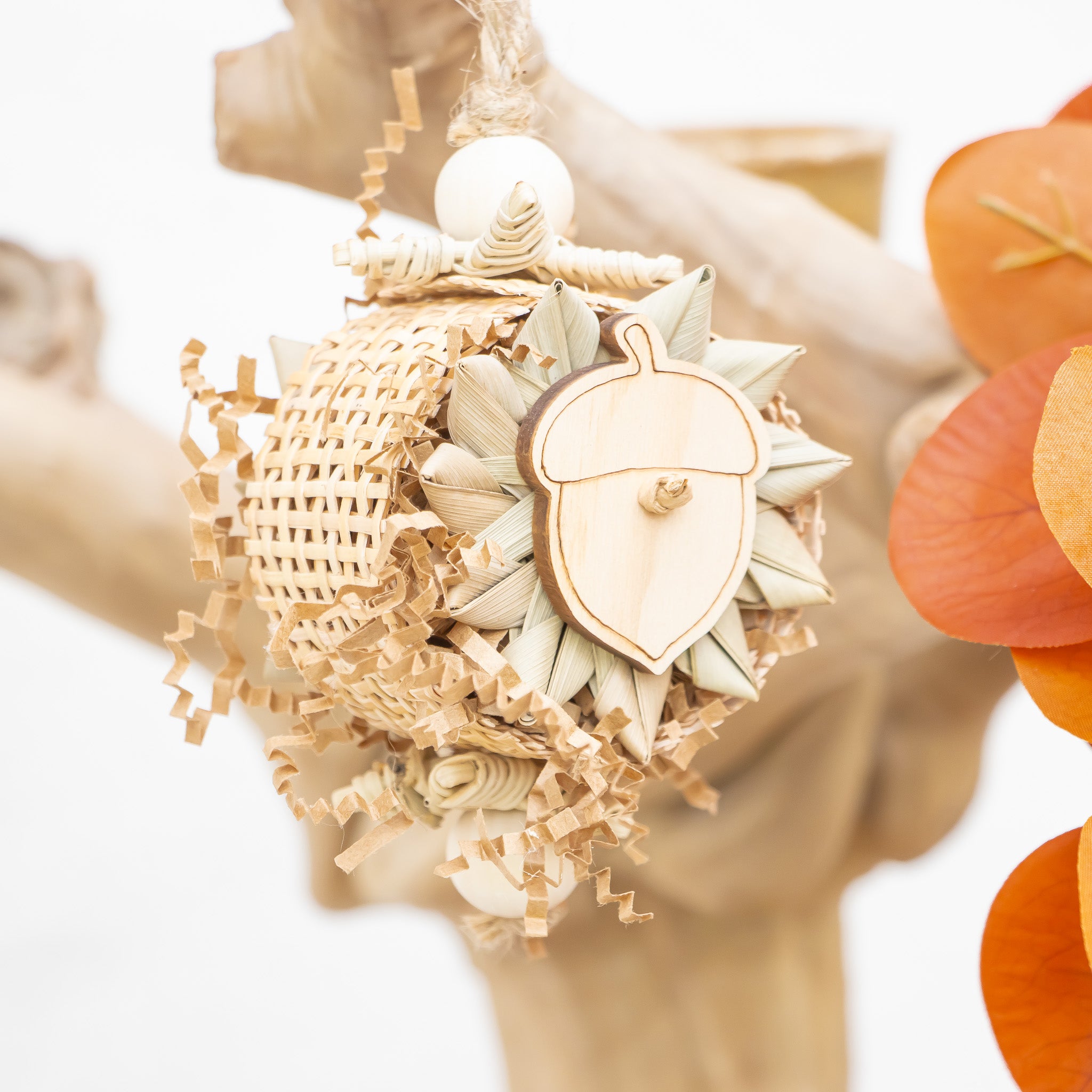Embracing the Season - Autumn Collection