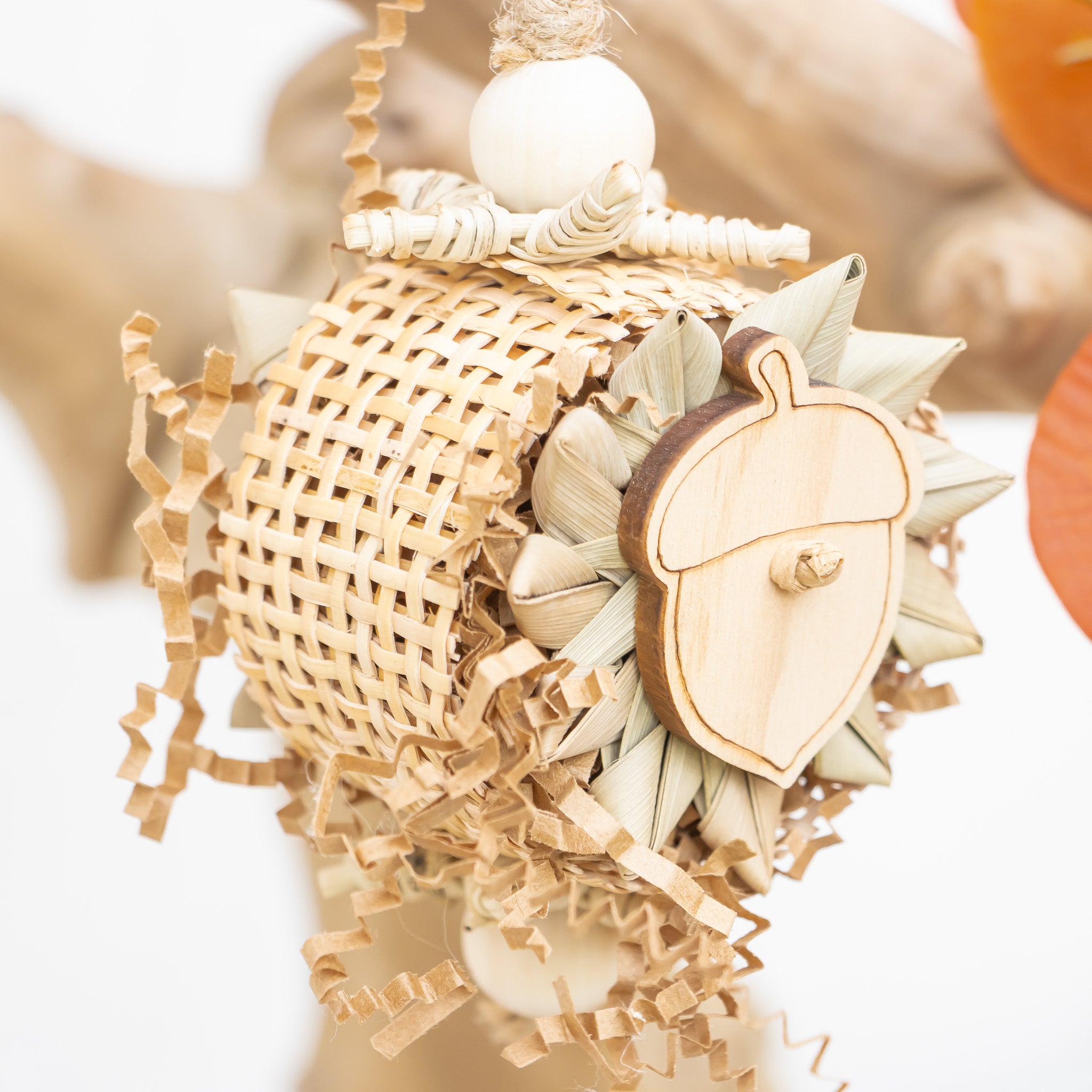 Embracing the Season - Autumn Collection