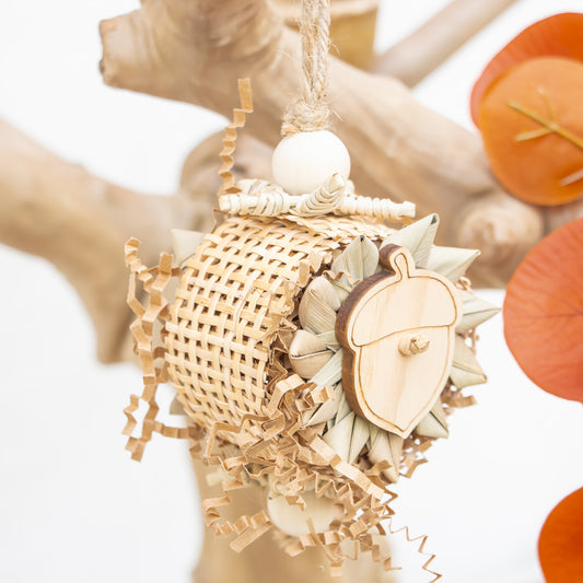 Embracing the Season - Autumn Collection