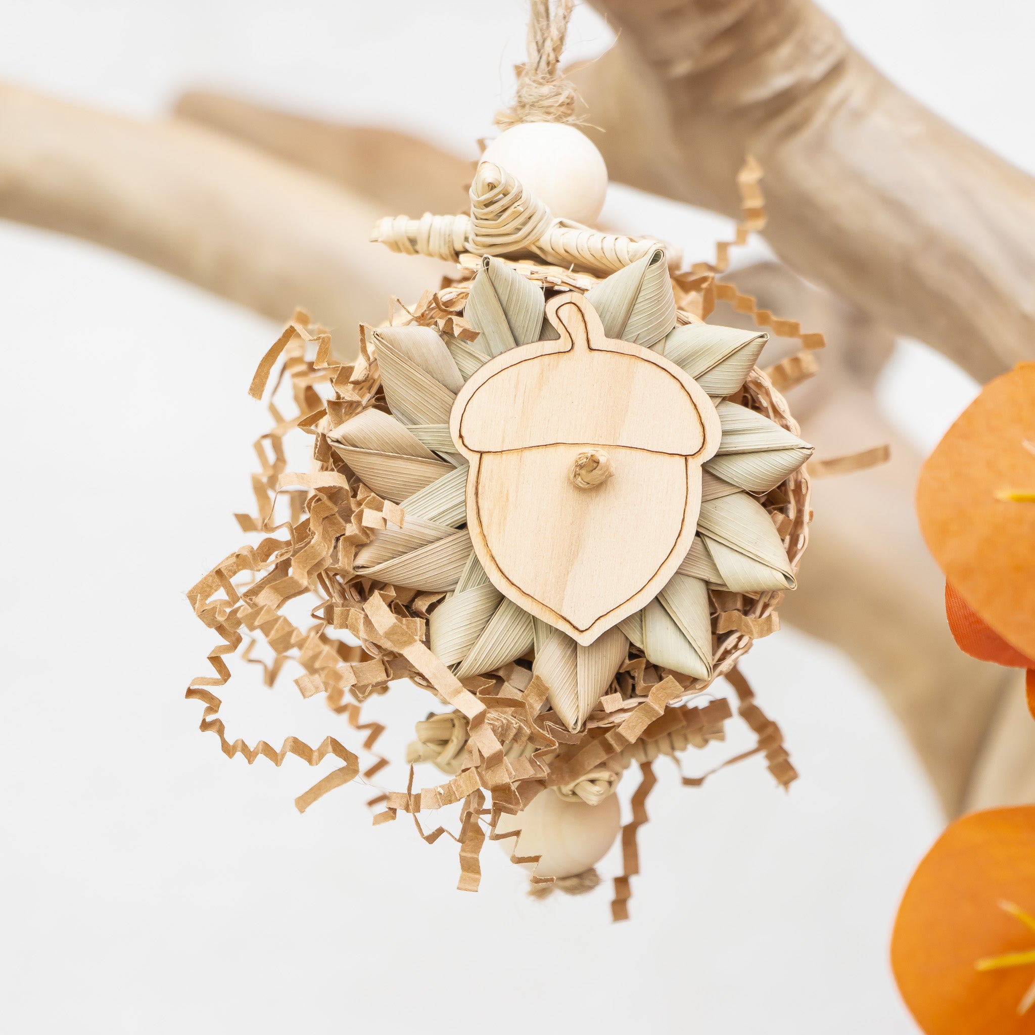 Embracing the Season - Autumn Collection