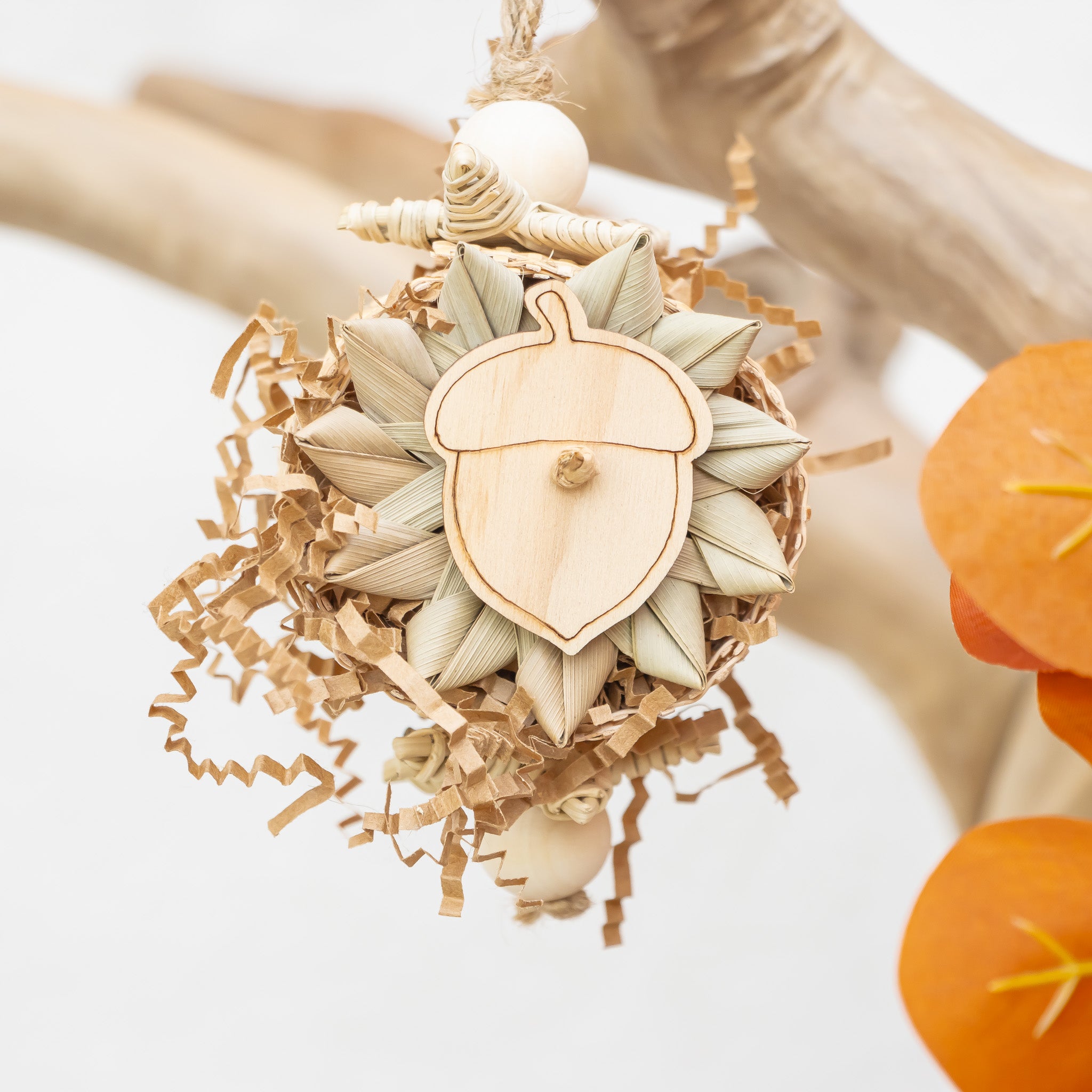 Embracing the Season - Autumn Collection