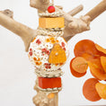 Load image into Gallery viewer, Crisp Air - Autumn Collection
