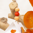 Load image into Gallery viewer, Seasonal Bliss - Autumn Collection
