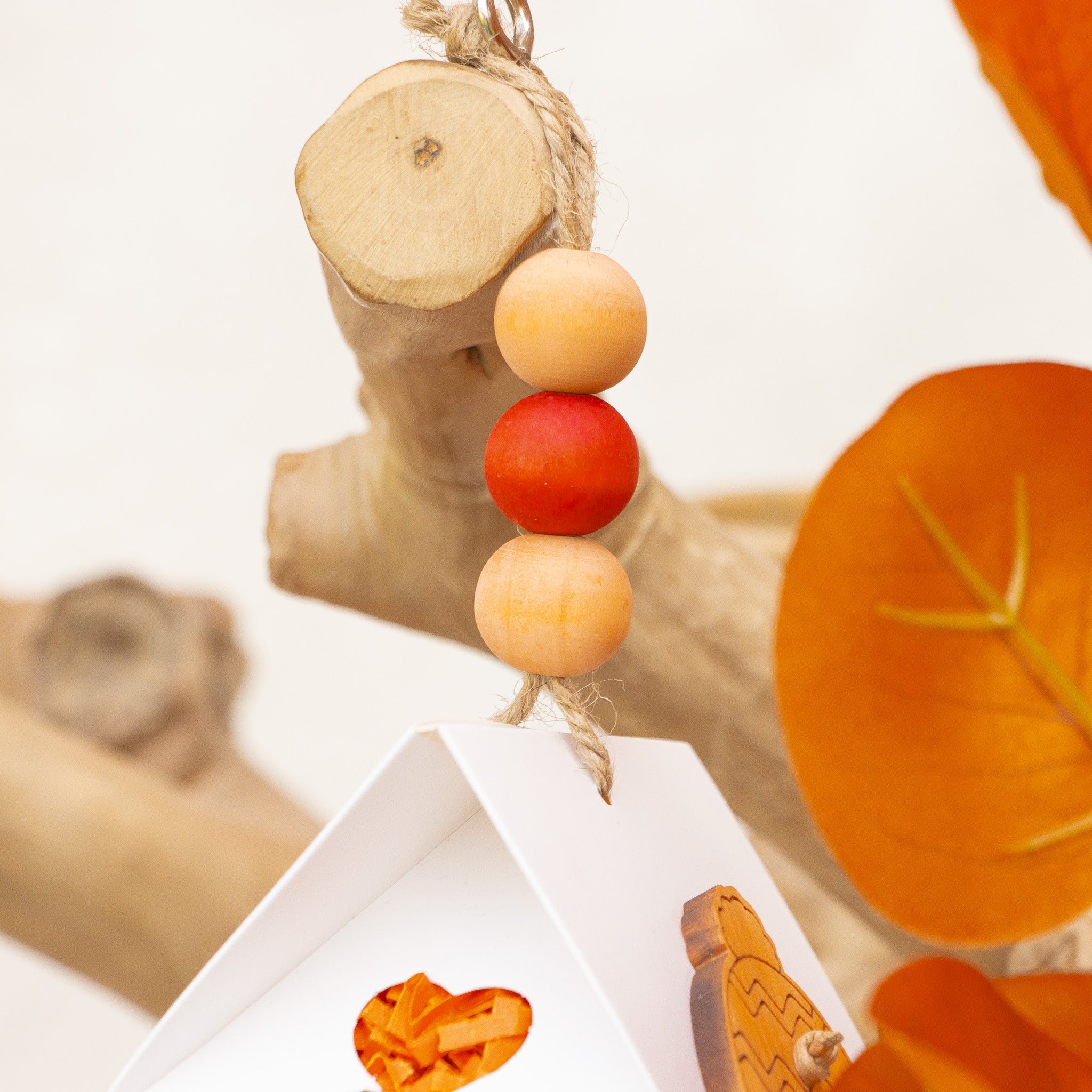 Seasonal Bliss - Autumn Collection
