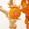 Load image into Gallery viewer, Woodland Acorn - Autumn Collection

