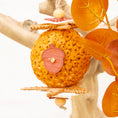 Load image into Gallery viewer, Woodland Acorn - Autumn Collection
