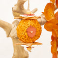 Load image into Gallery viewer, Woodland Acorn - Autumn Collection

