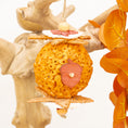 Load image into Gallery viewer, Woodland Acorn - Autumn Collection

