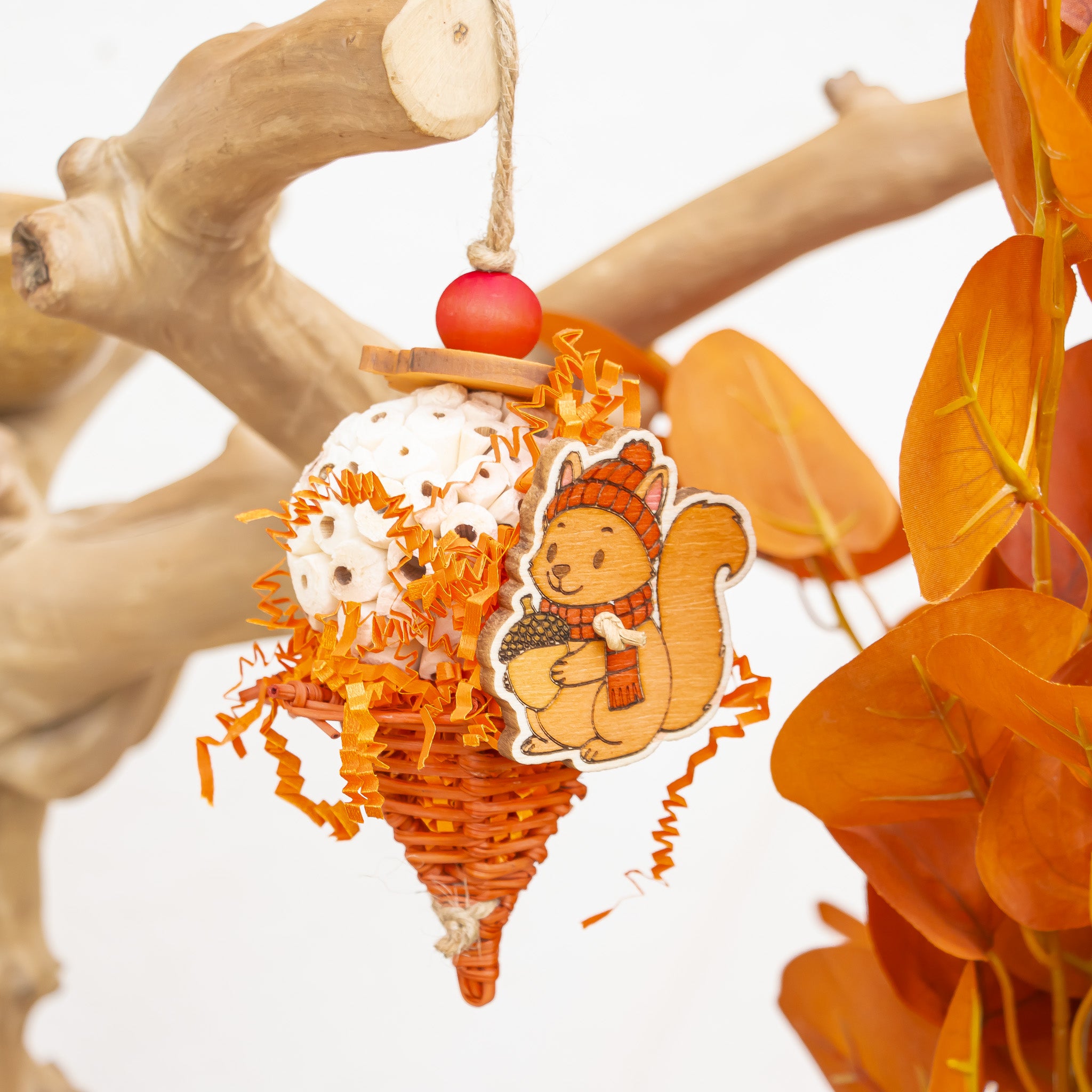 Harvesting Acorn - Autumn Collection