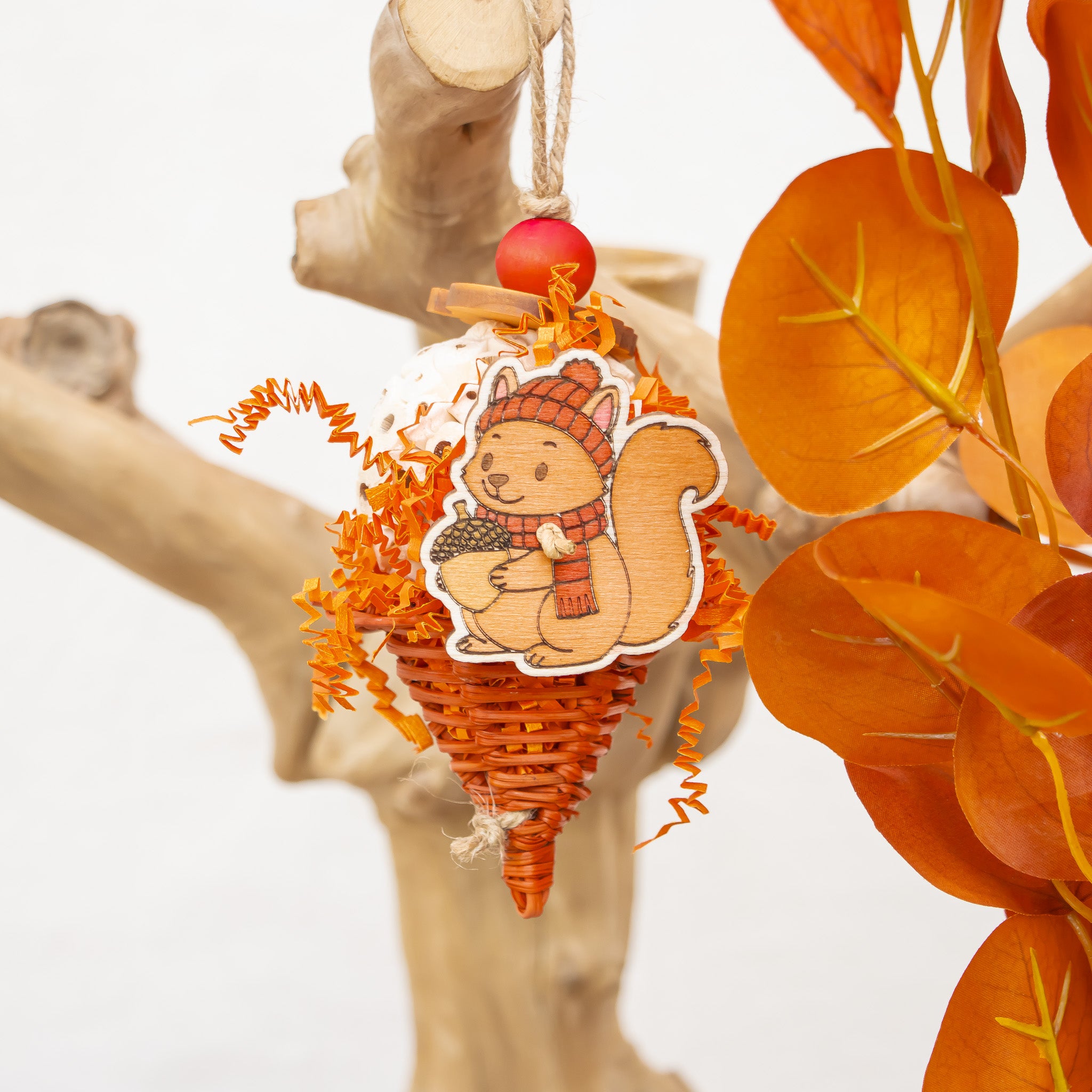 Harvesting Acorn - Autumn Collection
