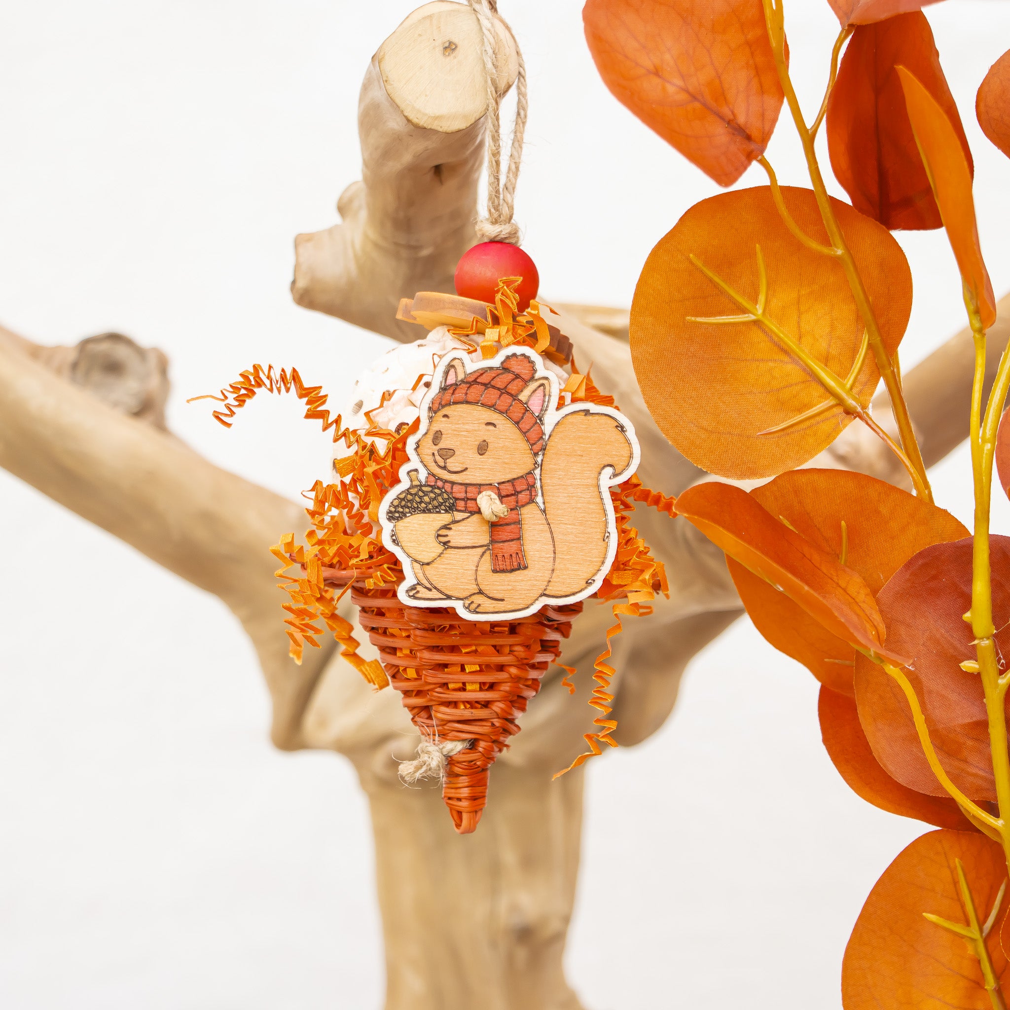 Harvesting Acorn - Autumn Collection