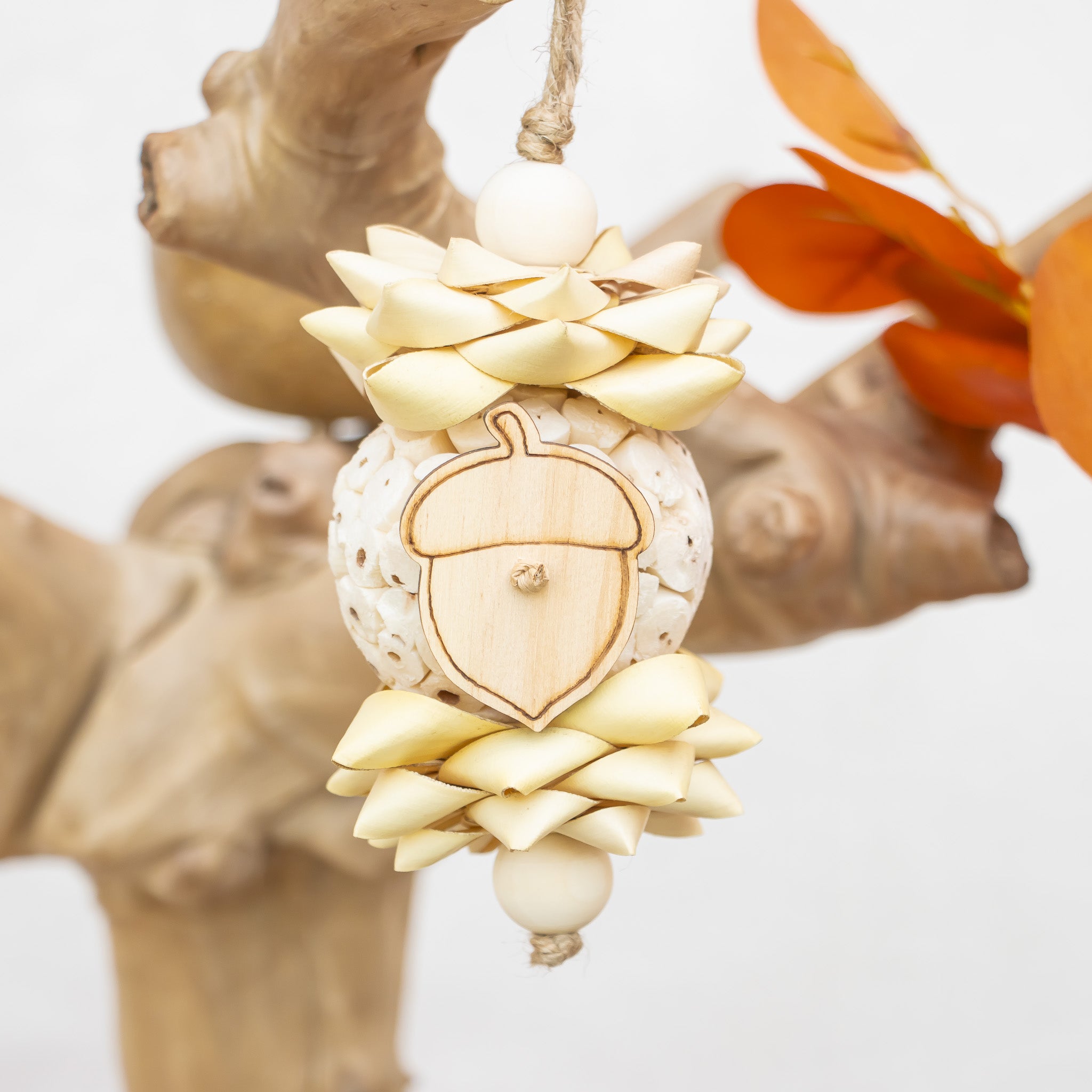 Little Acorn - Autumn Collection