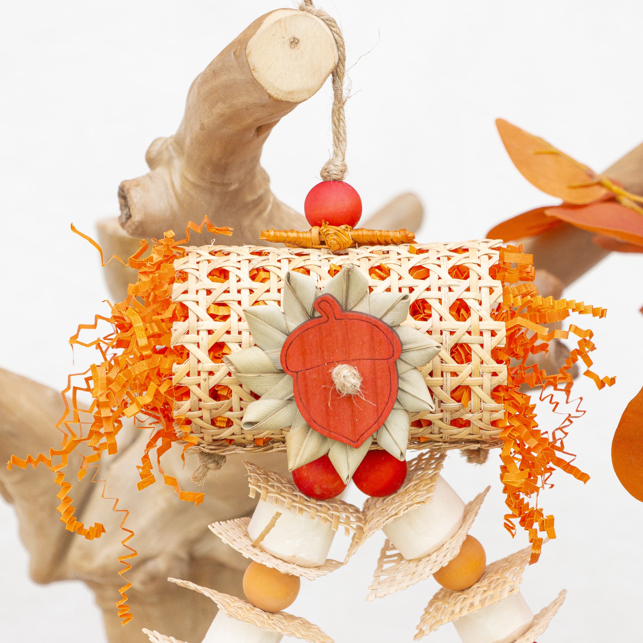 Fall in the Air - Autumn Collection