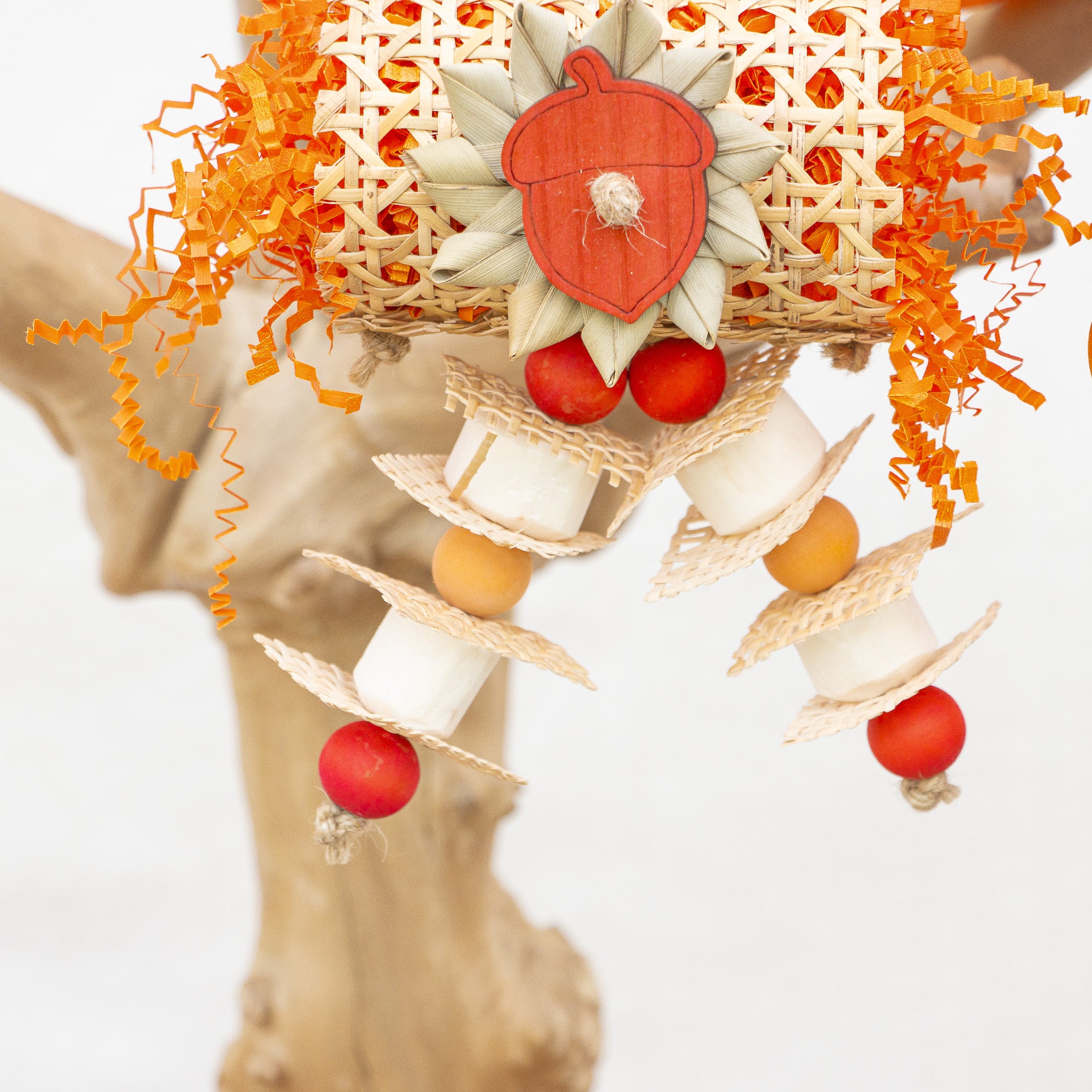 Fall in the Air - Autumn Collection