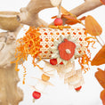 Load image into Gallery viewer, Fall in the Air - Autumn Collection
