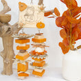 Load image into Gallery viewer, Busy Squirrel Bites - Autumn Collection
