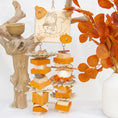 Load image into Gallery viewer, Busy Squirrel Bites - Autumn Collection
