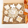 Load image into Gallery viewer, Sweet Pumpkin Harvest - Autumn Collection

