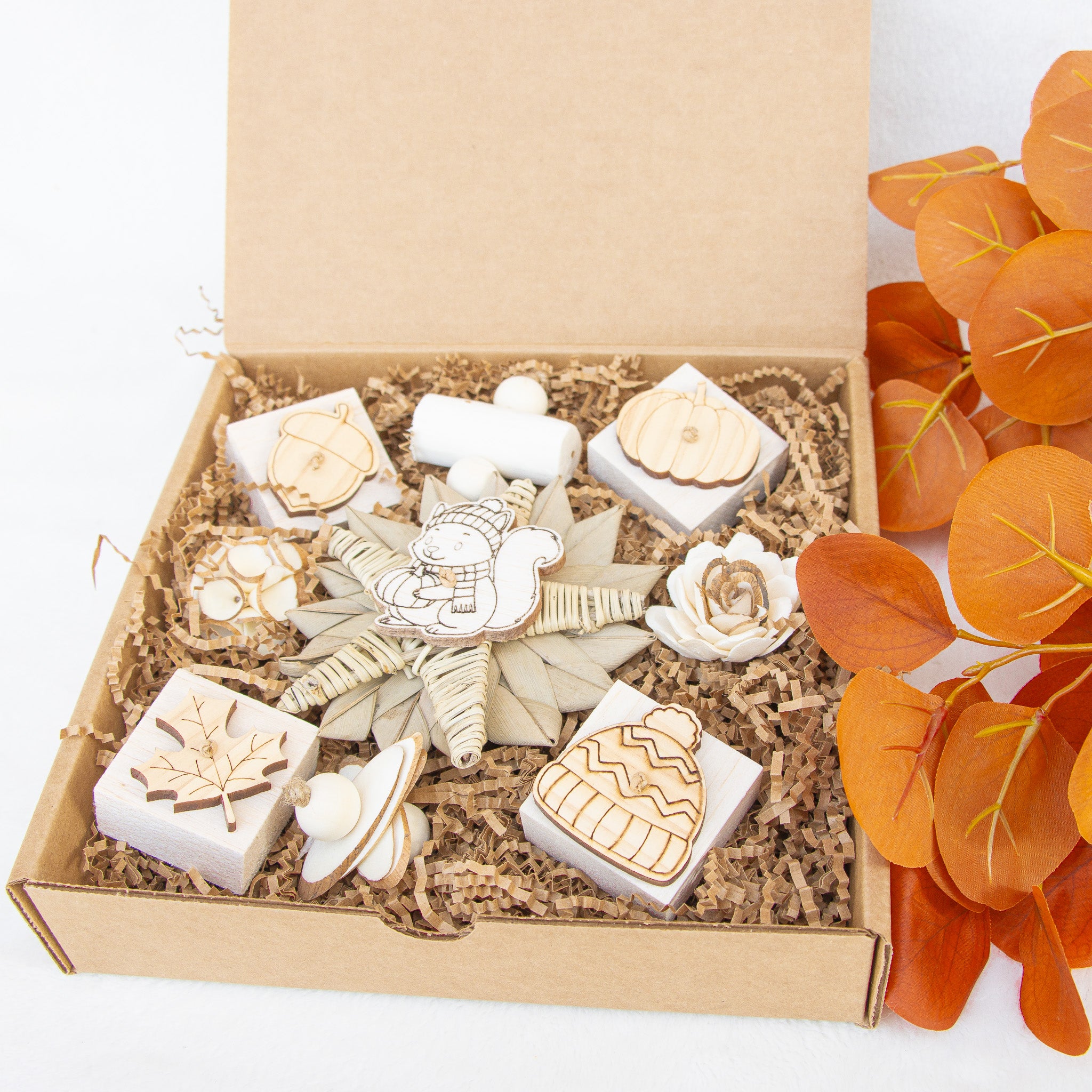 Sweet Pumpkin Harvest - Autumn Collection