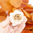 Load image into Gallery viewer, Sweet Pumpkin Harvest - Autumn Collection
