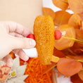 Load image into Gallery viewer, Pumpkin Patch Dreams - Autumn Collection

