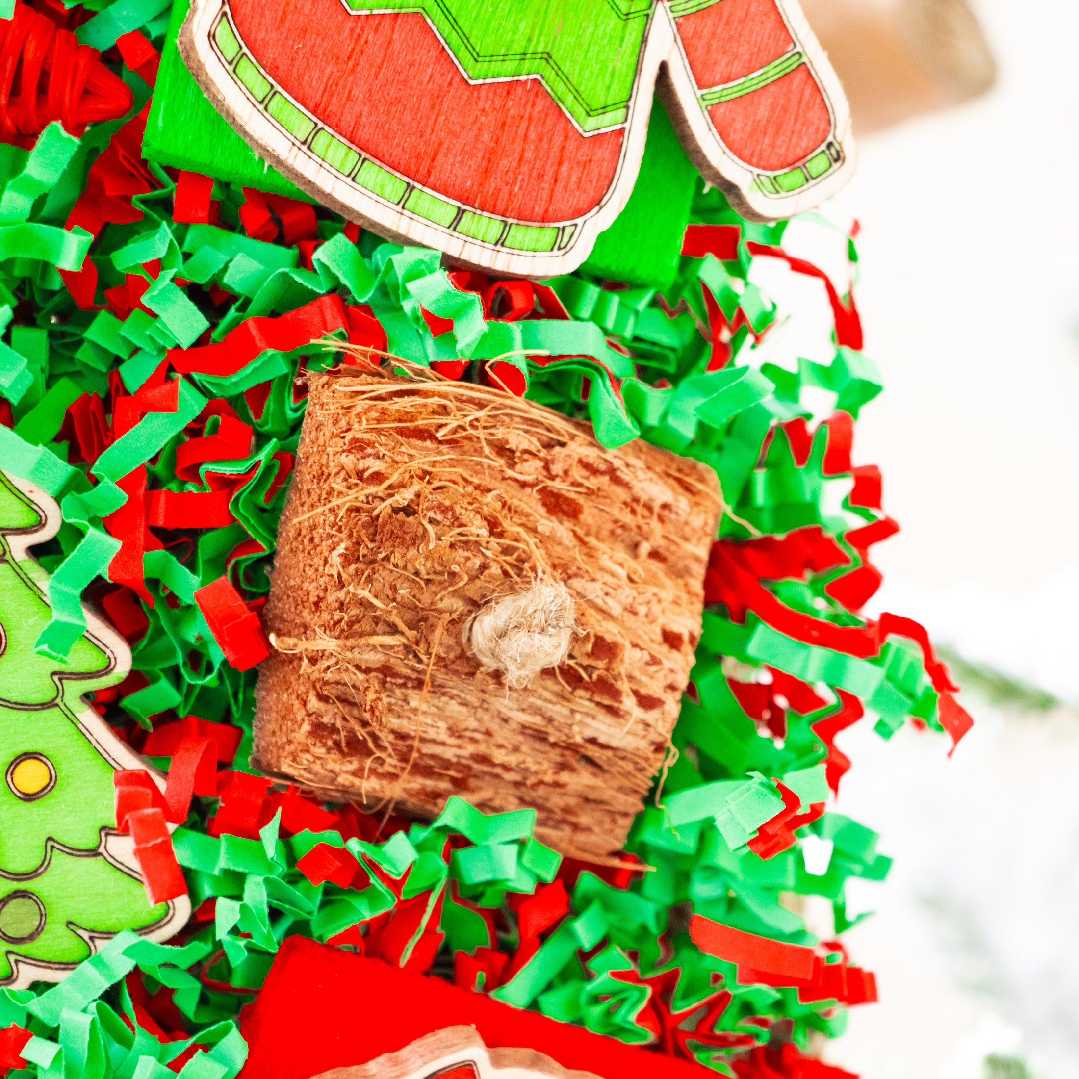 The Cozy Claus - Christmas Collection