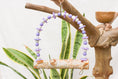 Load image into Gallery viewer, Amethyst - Swing
