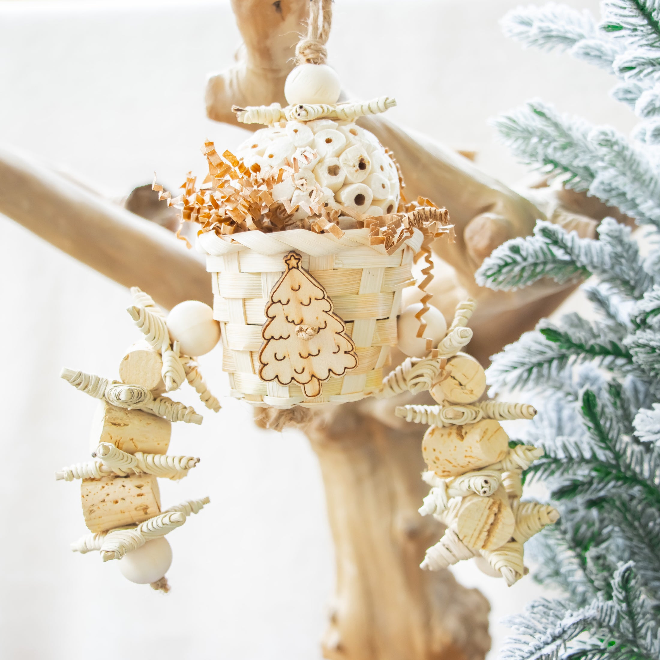 Natural Twinkle - Christmas Collection