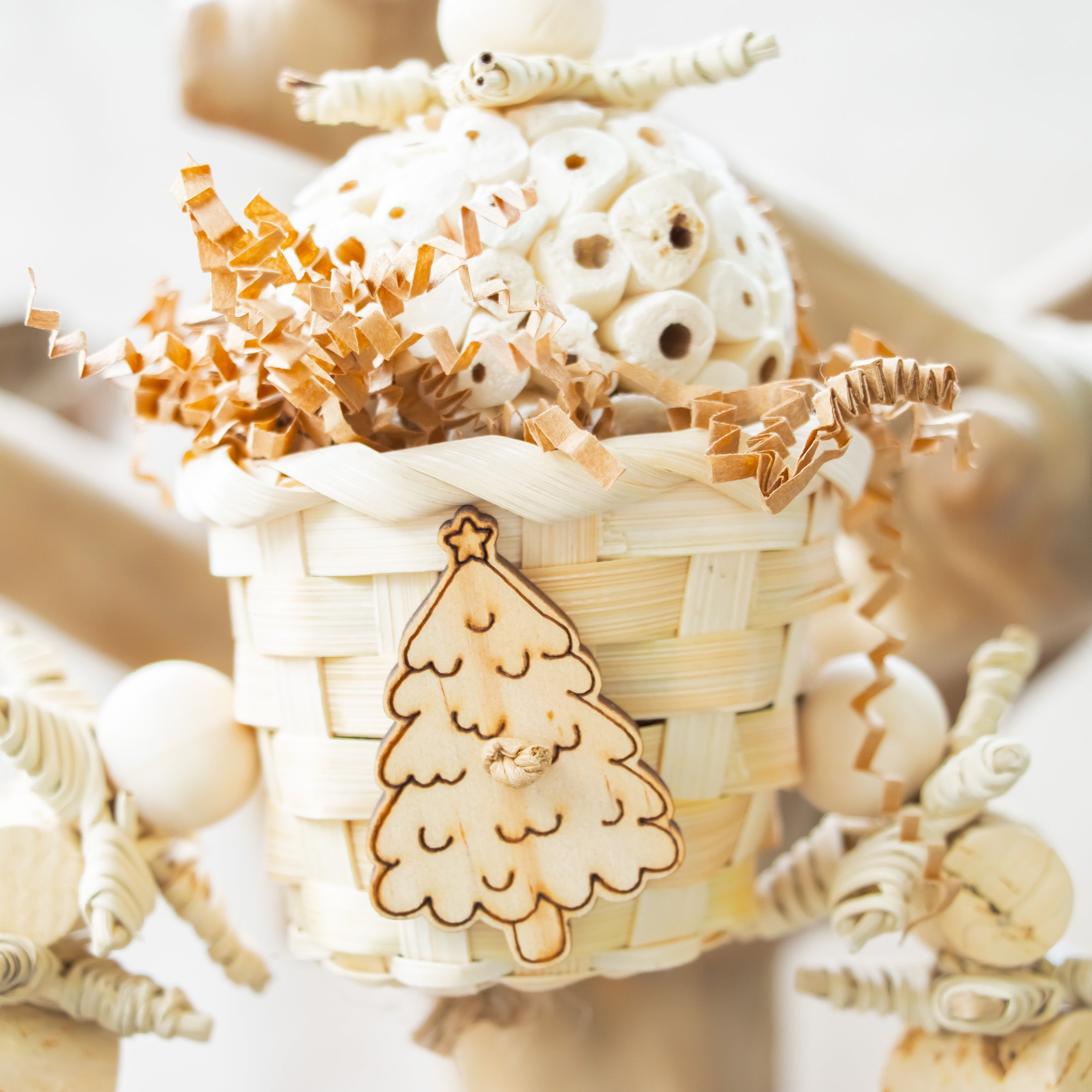 Natural Twinkle - Christmas Collection